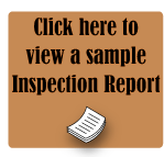 Sample Inspection Report